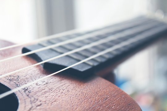 Ukulele guitar strings