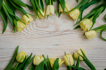 yellow tulips on a wooden background