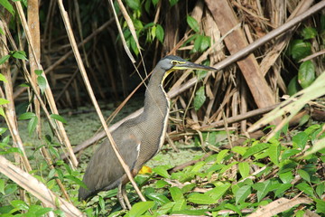 Eye contact with nature
