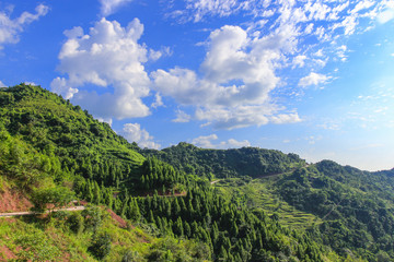Fototapeta na wymiar Dashan Peak and blue sky with white clouds in summer in Chongqing
