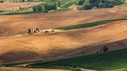 Summer landscape near Montepulciano