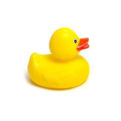Yellow rubber duck on white