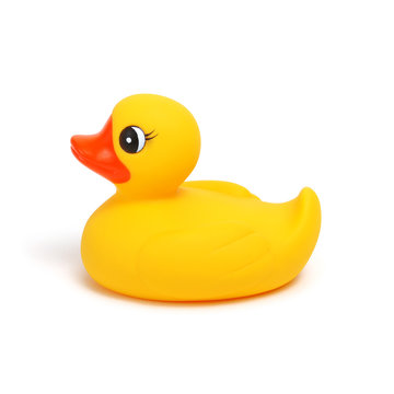 Yellow rubber duck on white