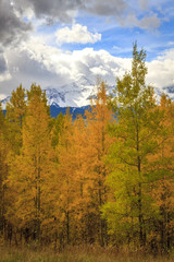 Snow Capped Mountains on a fall day