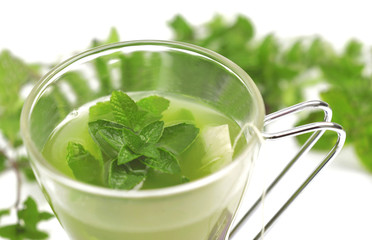 tea mint on white