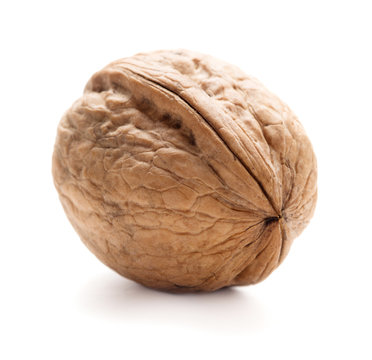 single walnut in shell isolated on white background
