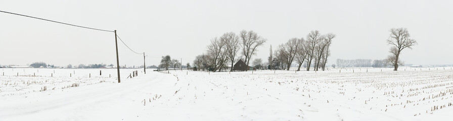 Gigapano of a typical Flemish countryside landscape with farms in winter