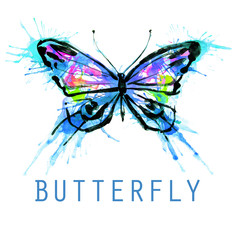 beautiful blue butterfly,watercolor,isolated on a white