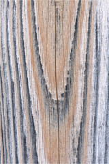 Fototapeta premium Holzwand verwaschen