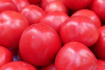 Frame of fresh tomatoes