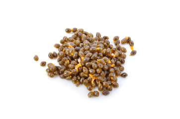 papaya seed isolated on white background