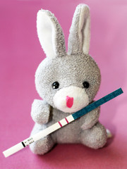 Pregnancy test and toy rabbit