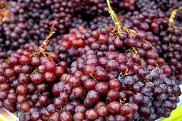 Red wine grapes background/ dark grapes, blue grapes , Red Grape, Cardinal Grape , Emperor Grape
