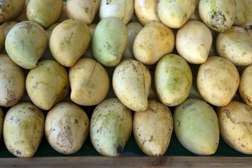 Fresh mangoes 