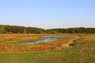Fototapeta na wymiar Oxbow lake in the wild meadow in golden rays of sunset. View to the autumn valley with old river bed at the early evening light.