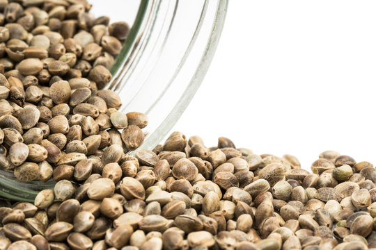 Close up of hemp seeds coming from a turnet over glass jar on white background seen from the side