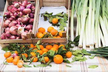 The farm food market. Fresh vegetables and fruits on the market counter.