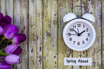 Daylight Savings Time Spring Ahead concept top down view with white clock and purple tulips