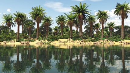Naklejka na ściany i meble Oasis, a beautiful tropical coast with palm trees