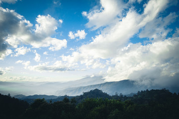 Nature, sky, forest, trees on a hill in the countryside