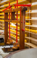 cheese production in the Netherlands