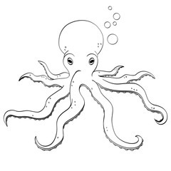 Sea animal, octopus. Inhabitant of the depths of the ocean. Object on white background. Coloring book