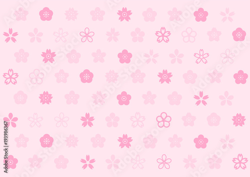 桜 桃 梅 花柄 イラスト ピンク背景 Wall Mural Wallpaper Murals Osame
