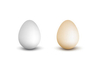 Vector realistic eggs