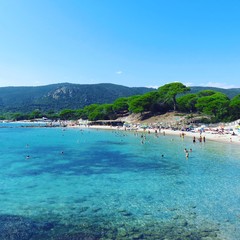 Zandig palombaggiastrand in het eiland van Corsica in middellandse zee