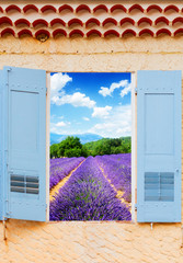 Lavender field window