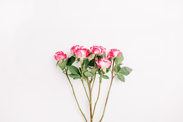 Red rose flowers branch on white background. Flat lay, top view minimal spring blog hero header concept.