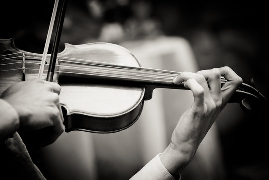 violin played by the musician