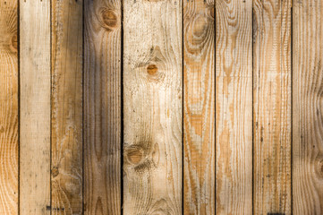 Naklejka premium Ściana z desek z pionowych lekkich desek o różnej szerokości z naturalnym usłojeniem na górnej krawędzi, widać łby śrub