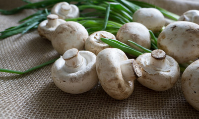 Raw champignons with green onion on light canvas