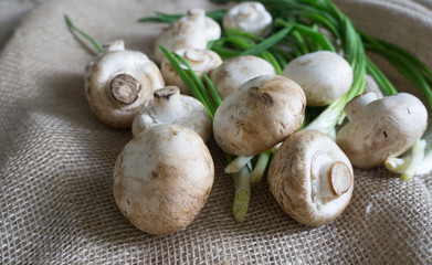 Raw champignons with green onion on light canvas