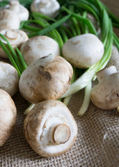 Raw champignons with green onion on light canvas