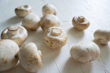 Raw champignons on white background top view