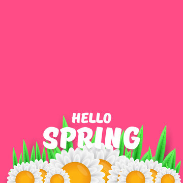 vector hello spring cut paper banner with text and flowers. hello spring slogan or label isolated on pink