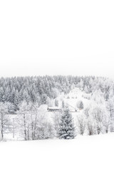 Schnee im Erzgebirge bei Altenberg
