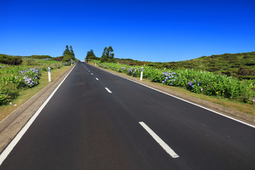 Mountain road on Flores Island, Azores, Portugal, Europe