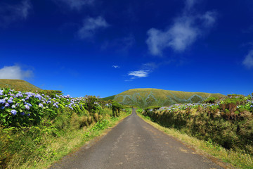 Mountain road on Flores Island, Azores, Portugal, Europe