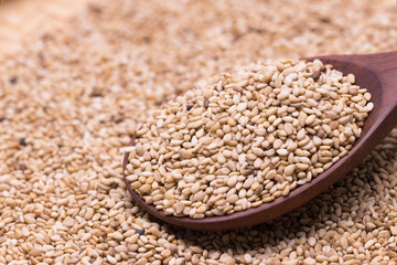 white sesame in wooden spoon on sesame background.