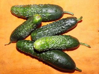 green cucumbers on a towel background