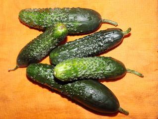 green cucumbers on a towel background