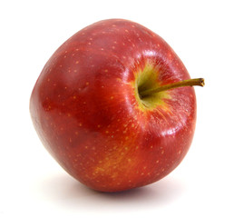 One red apple in closeup