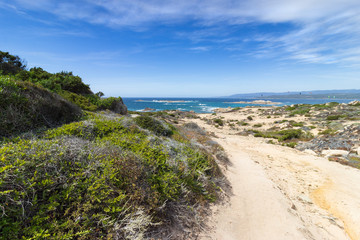 plage de la tonnara, corse du sud