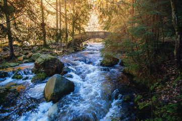River Oker with a lovely bridge in National Park Harz in Northern Germany