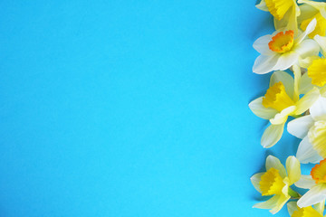 Tender minimalistic spring flowers composition on texture surface. Beautiful feminine plant decoration for holiday greeting card. Summertime, summer, spring, march april, june july. Happy mother's day