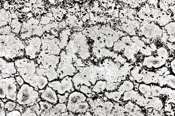 White paint cracked asphalt background.