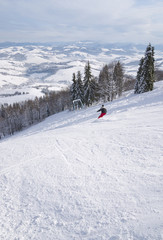 Skier on the slope against the background of the snowy forest and mountains